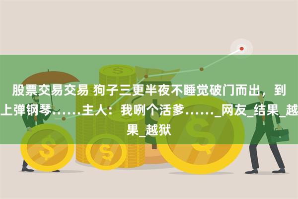 股票交易交易 狗子三更半夜不睡觉破门而出，到楼上弹钢琴……主人：我咧个活爹……_网友_结果_越狱