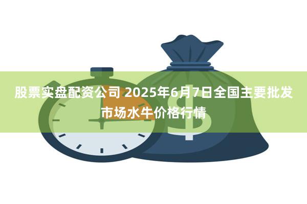 股票实盘配资公司 2025年6月7日全国主要批发市场水牛价格行情