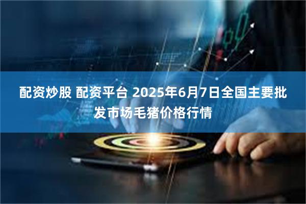 配资炒股 配资平台 2025年6月7日全国主要批发市场毛猪价格行情