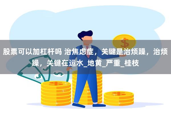 股票可以加杠杆吗 治焦虑症，关键是治烦躁，治烦躁，关键在运水_地黄_严重_桂枝