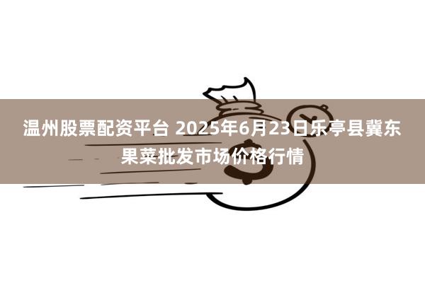 温州股票配资平台 2025年6月23日乐亭县冀东果菜批发市场价格行情