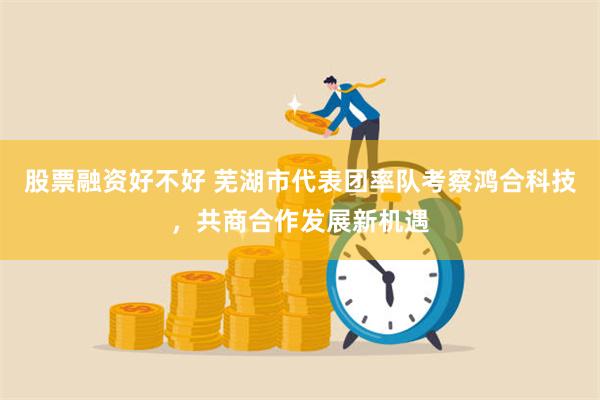 股票融资好不好 芜湖市代表团率队考察鸿合科技，共商合作发展新机遇